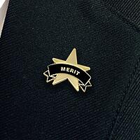 MERIT STAR enamel badge (pack of 5)