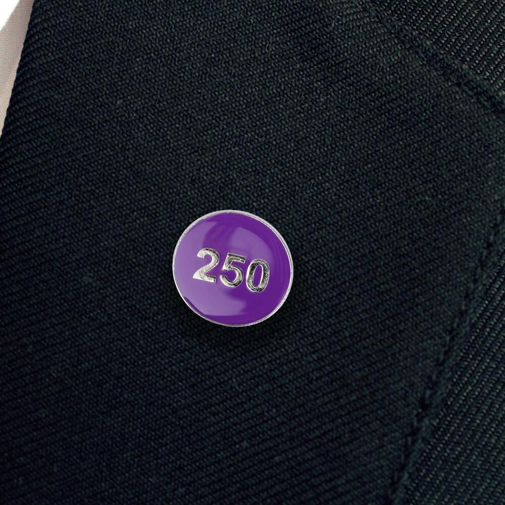 250 House Point Enamel Badges - Image 2