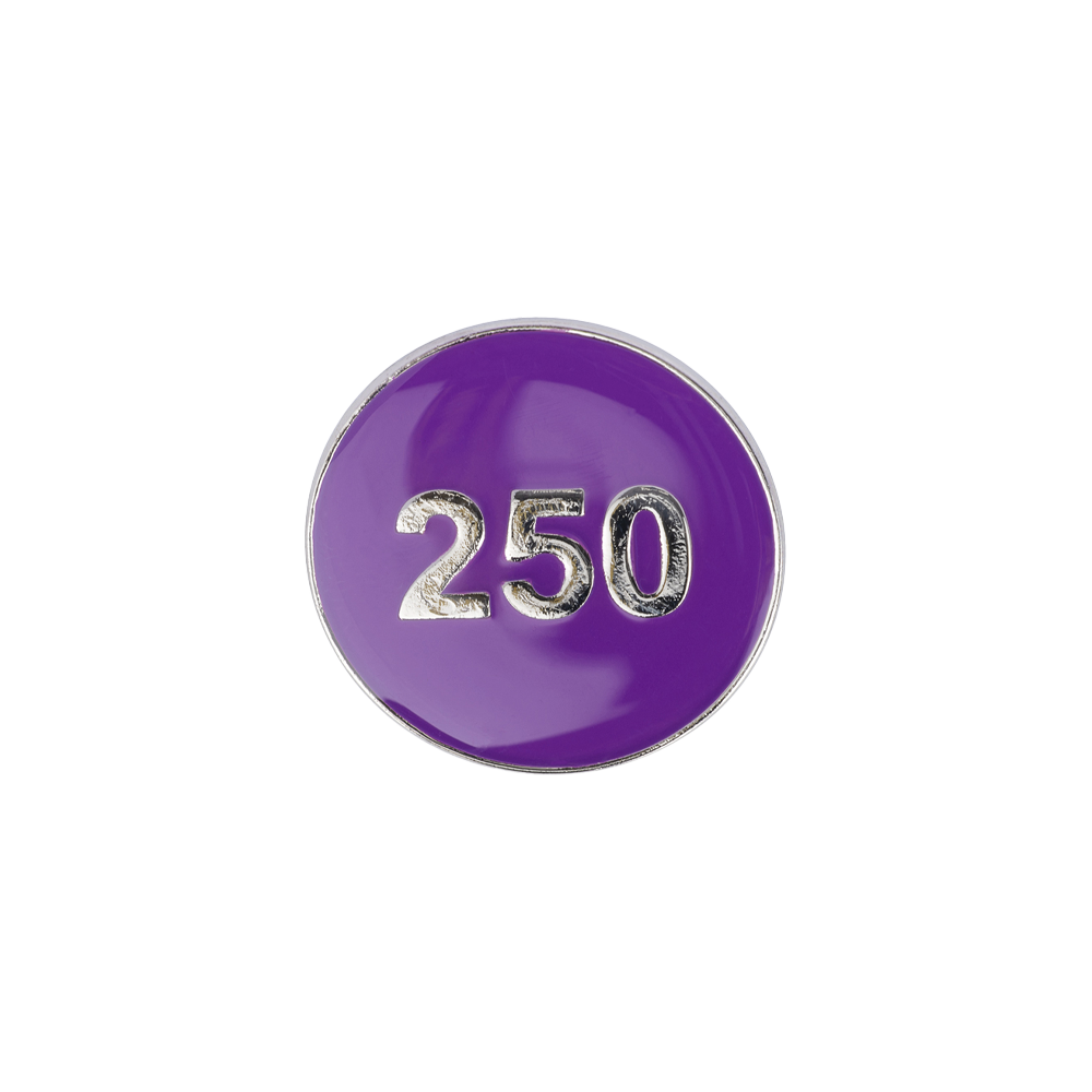 250 House Point Enamel Badges