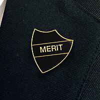 MERIT shield badge (pack of 5)