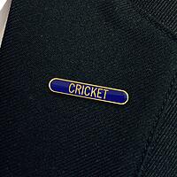 CRICKET bar badge (pack of 5)