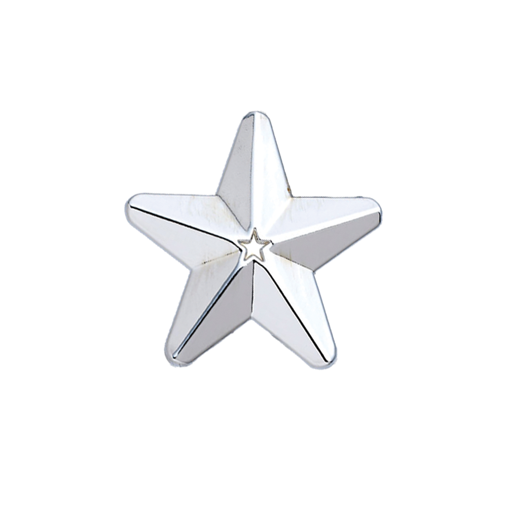 Silver 3D Star Badge (pack of 5)