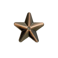 Bronze 3D Star Badge (pack of 5)
