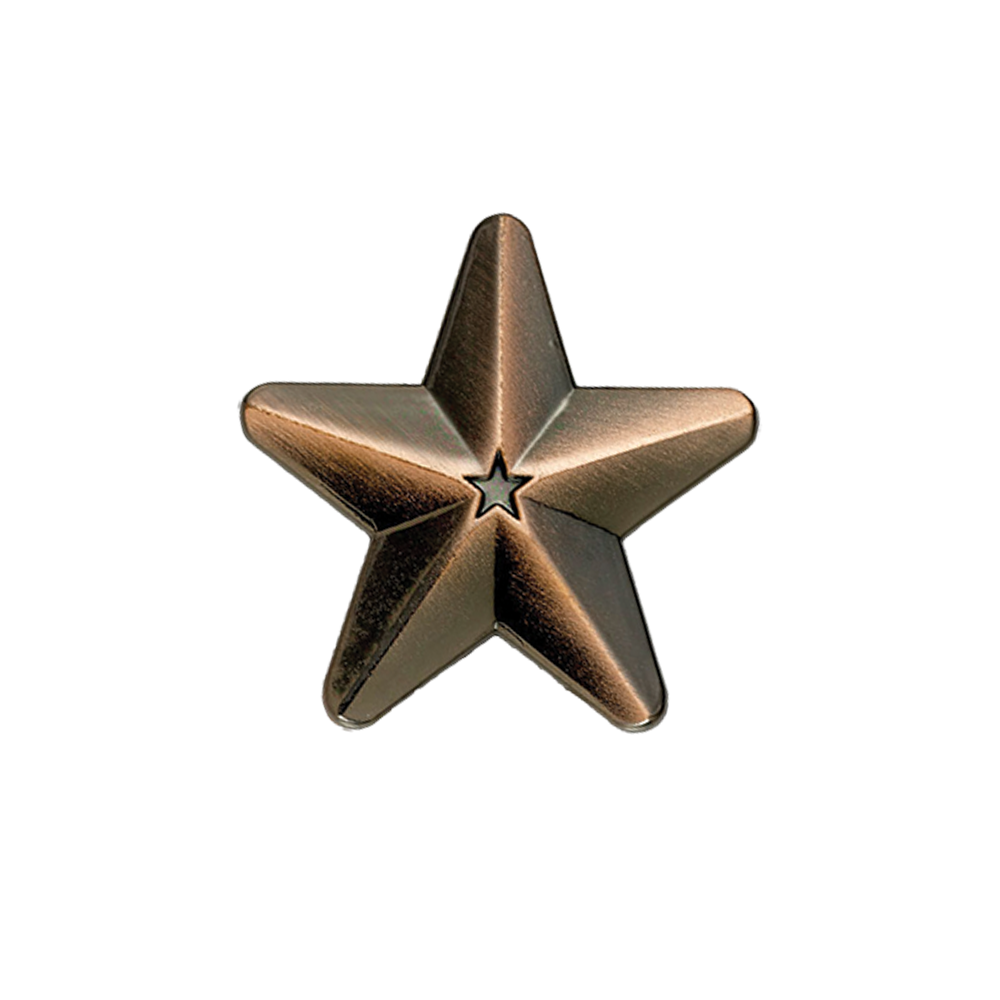 Bronze 3D Star Badge (pack of 5)