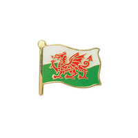 Wales Flag Enamel badge (pack of 5)