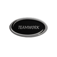 Teamwork 'Values' enamel badge