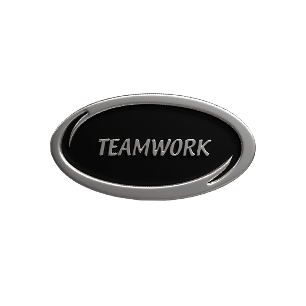 Teamwork 'Values' enamel badge
