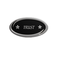 Trust 'Values' enamel badge