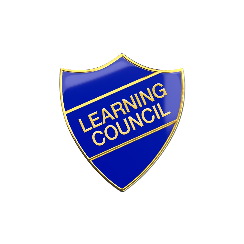Learning Council Enamel Badge (Pack of 5)
