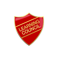 Learning Council Enamel Badge (Pack of 5)