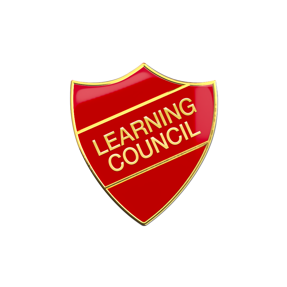 Learning Council Enamel Badge (Pack of 5)