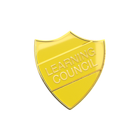 Learning Council Enamel Badge (Pack of 5)