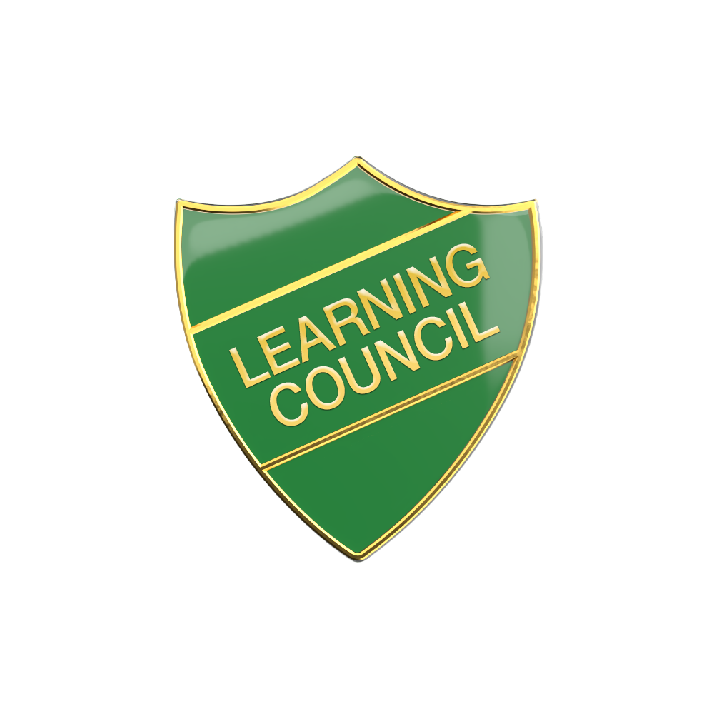 Learning Council Enamel Badge (Pack of 5)