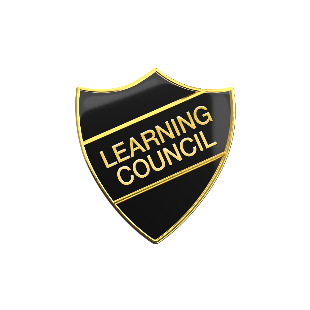 Learning Council Enamel Badge (Pack of 5)