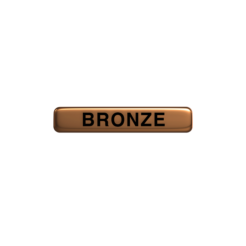 Bronze Award badge (pack of 5)