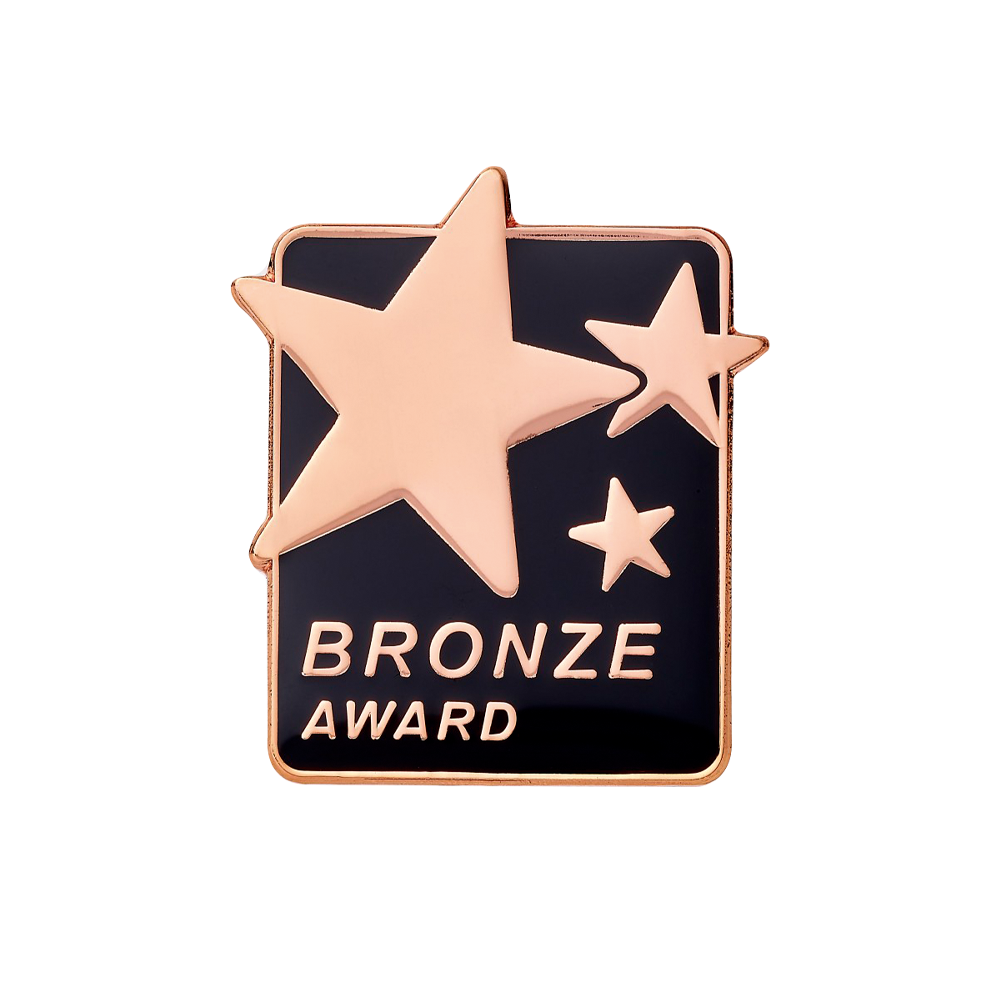BRONZE AWARD badge (pack of 5)