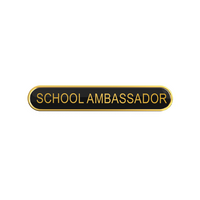 SCHOOL AMBASSADOR Badges (pack of 5)