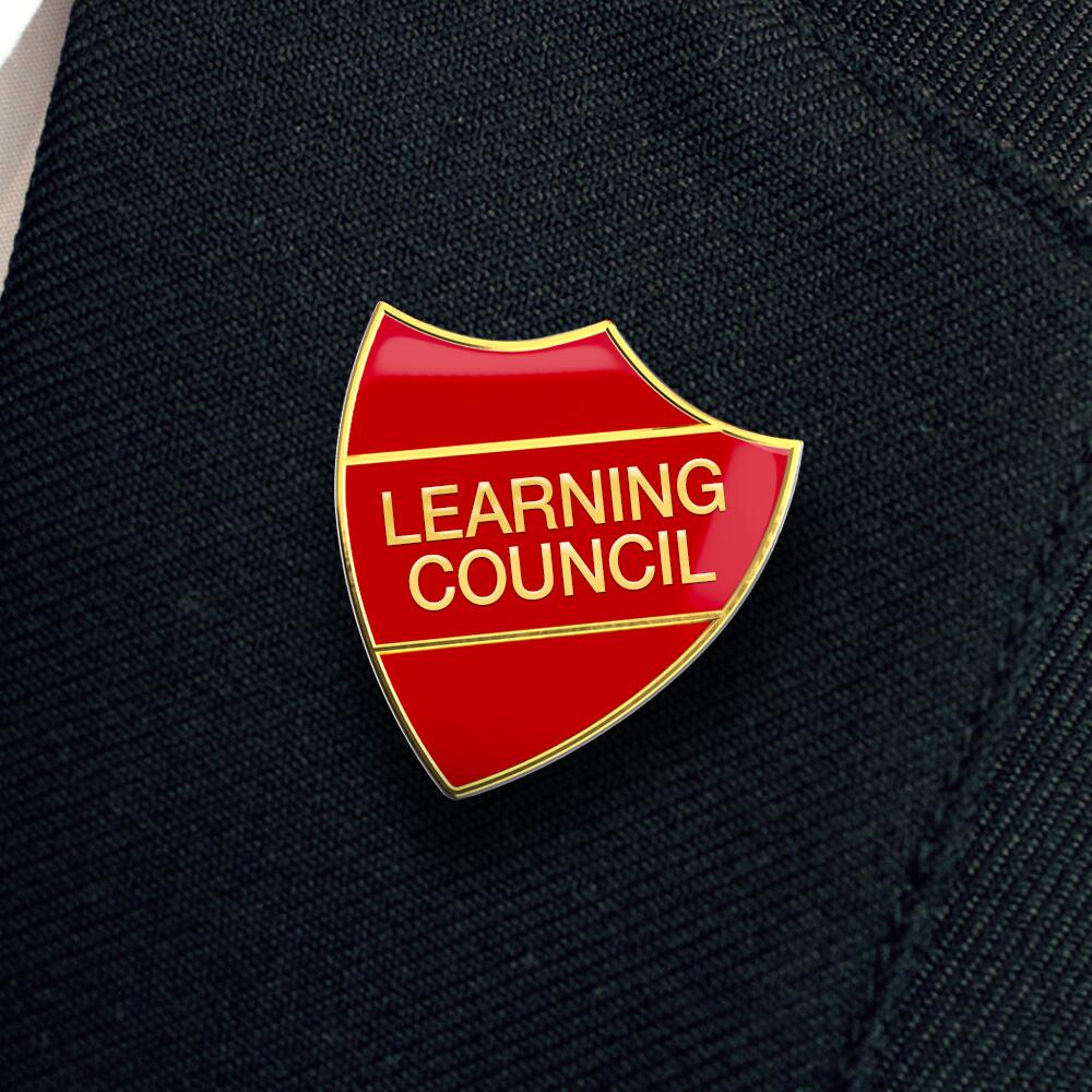 LEARNING COUNCIL enamel badge (pack of 5) - Image 2